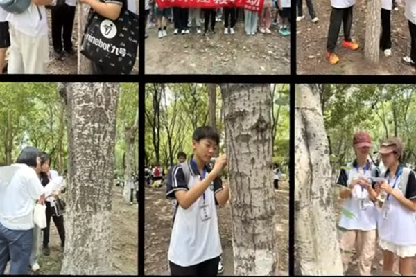 树木拯救行动