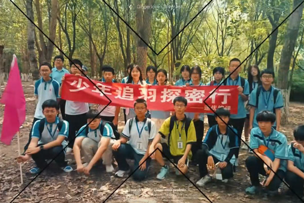 少年追羽探密行