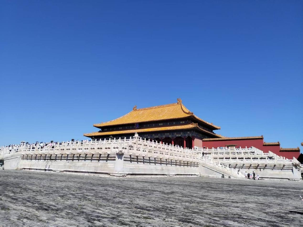 关于常态化受理志愿服务领域突出问题投诉举报线索的公告