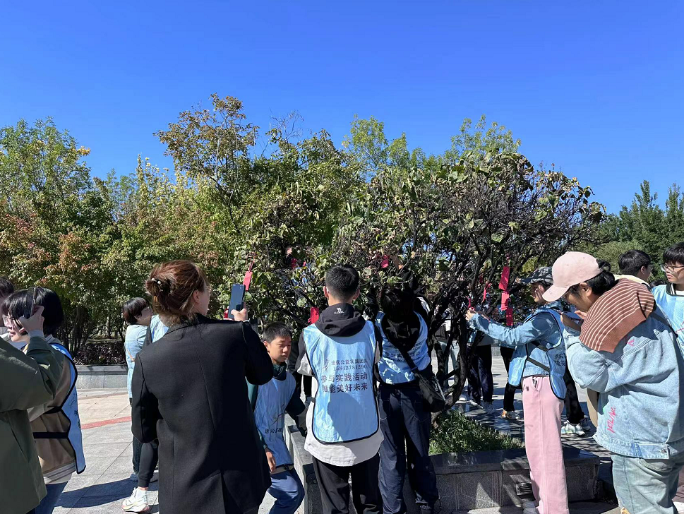 魅力许愿树承载希望路