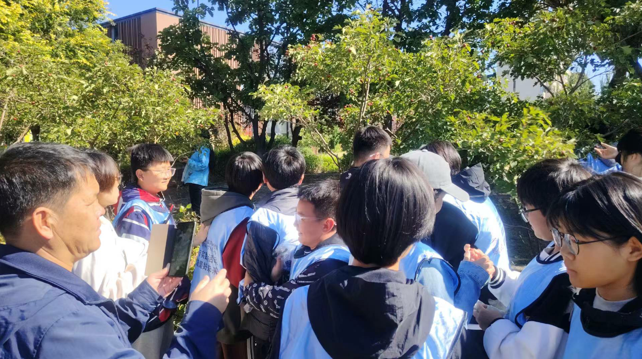树木文化